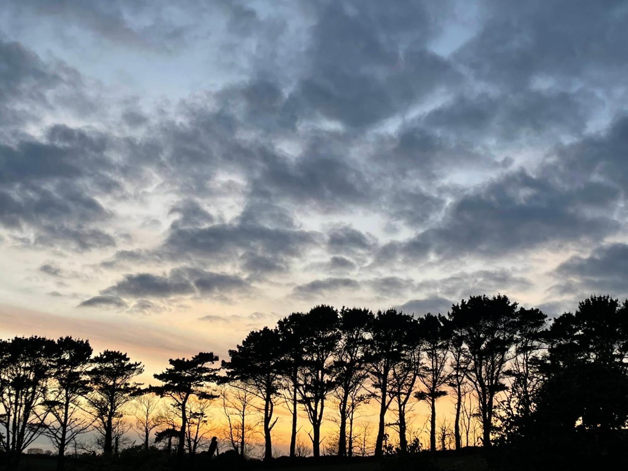Fowey River Views Exteriér fotografie